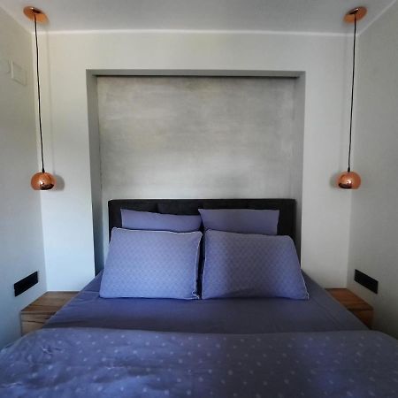 Apartment Pleasure Lux 诺威萨 外观 照片